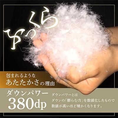 ふるさと納税 泉佐野市 羽毛布団 2枚 ポーランド産グース贅沢仕様 シングル アイボリー 099H3101の画像