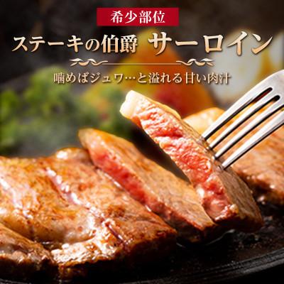 ふるさと納税 唐津市 佐賀牛A5〜A4ランクサーロインステーキ500g(約250g×2枚)|y-sf|03