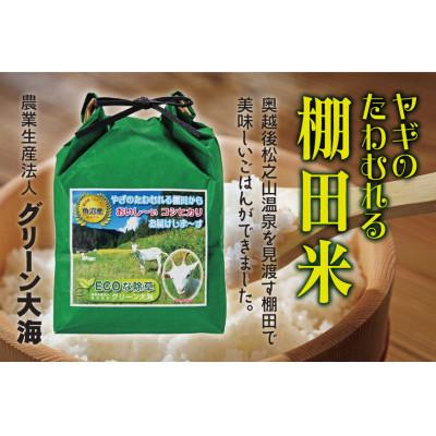 ふるさと納税 十日町市 やぎのたわむれる棚田米コシヒカリ 魚沼産 精米 2kg さとふる 通販 Yahoo ショッピング