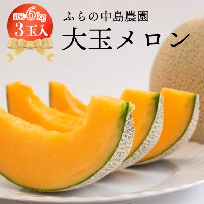 ふるさと納税 富良野市 [2026年発送]富良野メロン 大玉 3玉入り