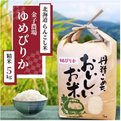 ふるさと納税 蘭越町 令和5年産 らんこし米 金子農場 ゆめぴりか 5kg