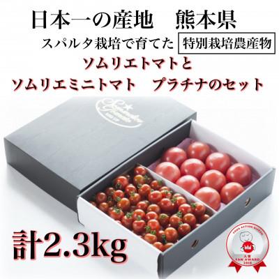ふるさと納税 玉名市 [特別栽培農産物]ソムリエトマト1.3kgとソムリエミニトマト プラチナ1kgのセット