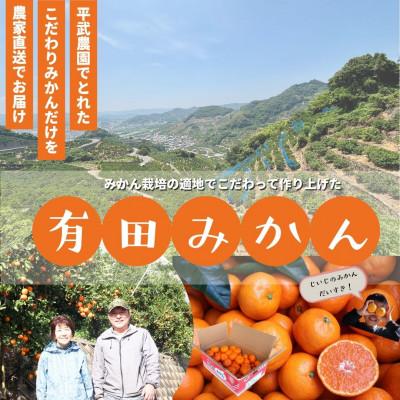 ふるさと納税 湯浅町 農家直送!有田みかん3kg≪2Lサイズ(大玉)秀品≫　平武農園の有田ブランド田口みかん　 |  | 01