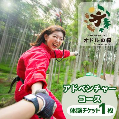 ふるさと納税 菰野町 オドルの森 アドベンチャーコース 1名様利用券