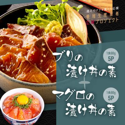 ふるさと納税 香美市 高知の海鮮丼の素「ブリの漬け」80g×5P+「マグロの漬け」80g×5P