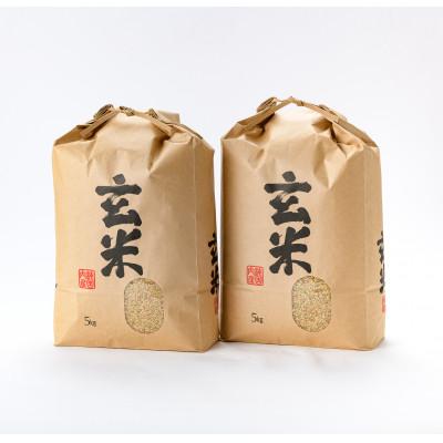 割引ネット ふるさと納税 新庄市 新庄産米 つや姫 玄米 5kg 2袋 買い人気 Superavila Com