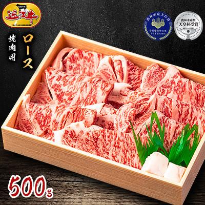 ふるさと納税 竜王町 「近江牛」ロース 焼肉用 500g
