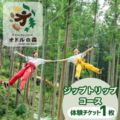 ふるさと納税 菰野町 オドルの森 ジップトリップコース1名様利用券