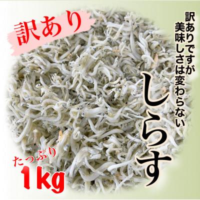 ふるさと納税 南知多町 訳あり!釜揚げしらす1kg 愛知県日間賀島産モンちり!工場直送