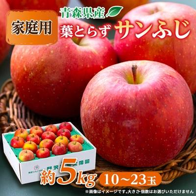 ふるさと納税 青森市 青森市産りんご「葉取らずサンふじ」約5kg(家庭用)