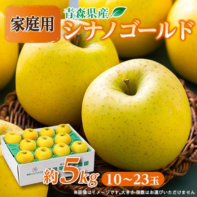 ふるさと納税 青森市 青森市産りんご「シナノゴールド」約5kg(家庭用)