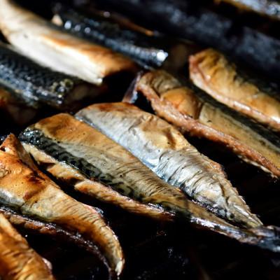 ふるさと納税 銚子市 焼き塩さば 10缶|y-sf|03