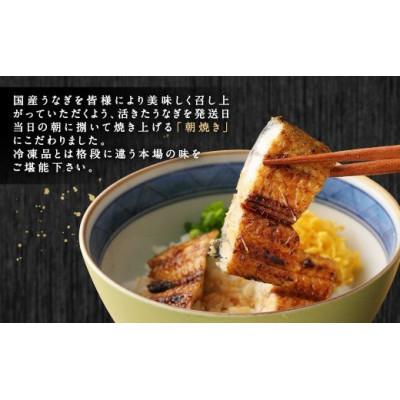 ふるさと納税 柳川市 朝焼きうなぎ 4尾入 約150g×4 合計約600g タレ・山椒各6袋|y-sf|02
