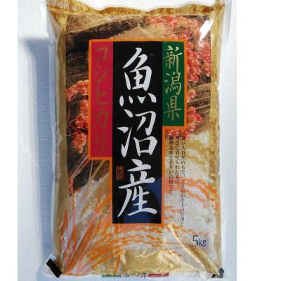 ふるさと納税 十日町市 魚沼産コシヒカリ5kg 精米