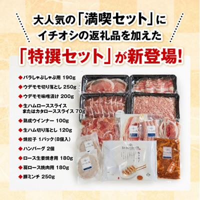 ふるさと納税 川南町 さんきょうみらい豚 『特撰セット』|y-sf|04