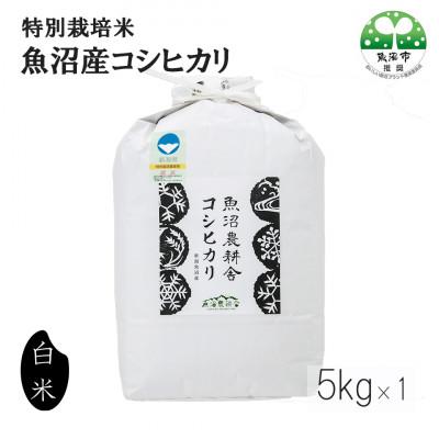 ふるさと納税 魚沼市 令和7年産米農家自慢の 特別栽培米 魚沼産 コシヒカリ(精米)5kg×1袋