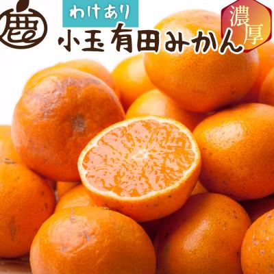 激安人気新品 ふるさと納税 那智勝浦町 家庭用 小玉 有田みかん10kg 300g 傷み補償分 訳あり 光センサー選果