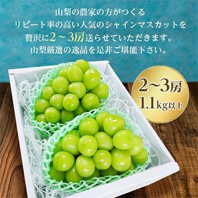 ふるさと納税 シャインマスカット 山梨市 大人気!山梨のシャインマスカット2〜3房　1.1kg以上 ふるさと納税｜y-sf｜02