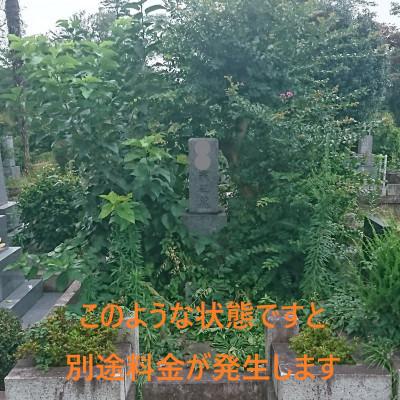 【超美品】 ふるさと納税 小金井市 小金井市内のお墓掃除 【YWU1015198620】(37000円)