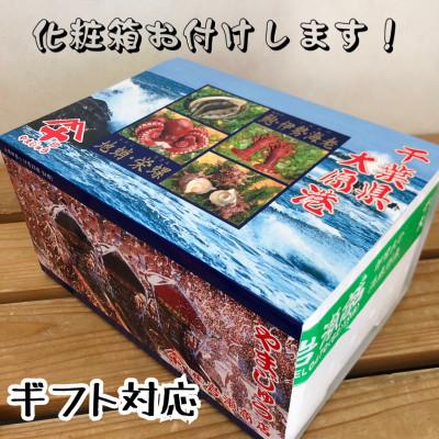 ふるさと納税 いすみ市 太東・大原産真蛸 茹でたこ足 280g×3|y-sf|04