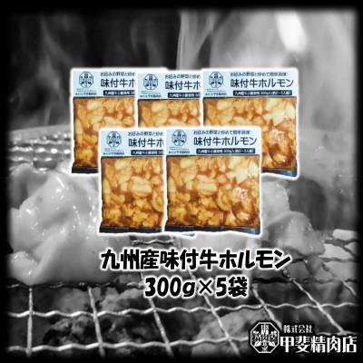 ふるさと納税 日向市 【(株)甲斐精肉店】九州産味付牛ホルモン 1.5kg(300g×5袋) 103|y-sf|02