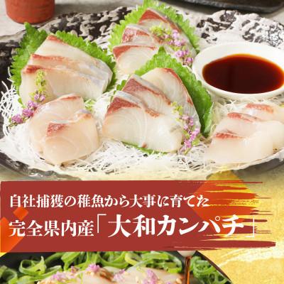 ふるさと納税 延岡市 大和カンパチの切り身 約600g|y-sf|02