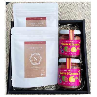 ふるさと納税 南国市 有機グアバ農園の完熟フルーツソースと土佐國グァバ茶のギフトセット(化粧箱入・包装有)