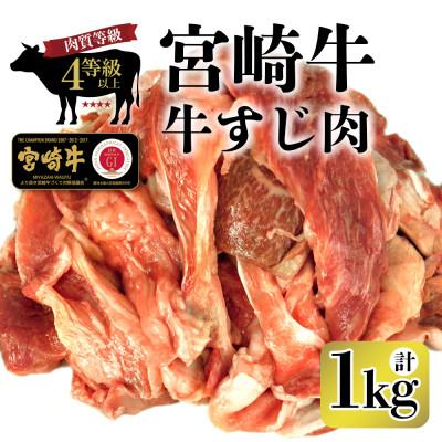 ふるさと納税 串間市 宮崎牛 牛すじ肉 計1kg (500g×2袋)