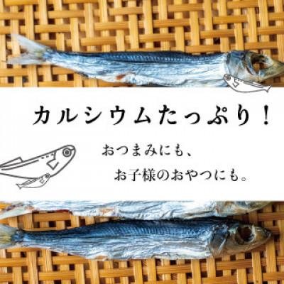 ふるさと納税 須崎市 うるめ丸干し　500g｜y-sf｜02