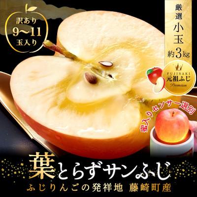 ふるさと納税 藤崎町 [先行予約]葉とらずサンふじ 厳選 小玉 約3kg ご家庭用りんご(訳あり) 青森リンゴ 青森林檎