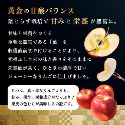 ふるさと納税 藤崎町 [先行受付] 葉とらずサンふじ 小玉 約3kg 訳あり 食べきりサイズ 青森県産｜y-sf｜02