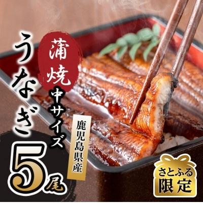 ふるさと納税 志布志市 [さとふる限定]鹿児島県産 伊崎田のうなぎ蒲焼 中5尾(合計750g〜845g)