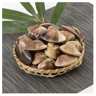 最大98 オフ ふるさと納税 白子町 22年7月下旬発送 九十九里産はまぐり1 5kg Wantannas Go Id