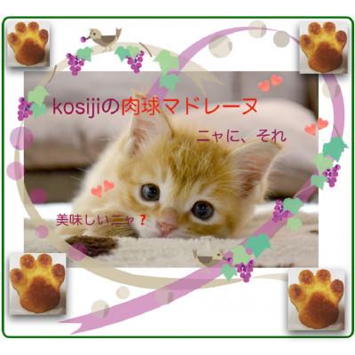 ふるさと納税 葛飾区 [東京葛飾区柴又]可愛いいだけじゃない!しっとり美味しい肉球マドレーヌ[6個入りGift Box]