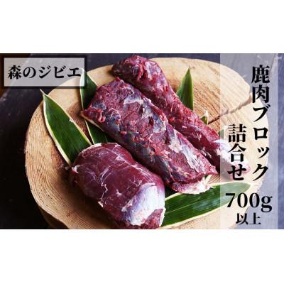 ふるさと納税 西粟倉村 森のジビエ 鹿肉 ブロック おまかせ詰合せ700g以上