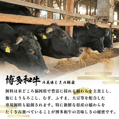 ふるさと納税 大野城市 【A4〜A5】博多和牛切り落とし  500g｜y-sf｜03