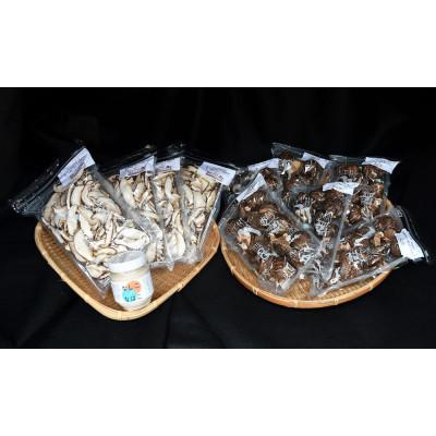 ふるさと納税 豊後大野市 小町のよくばりセット(どんこ椎茸・干ししいたけ・原木栽培・大分県豊後大野市産)