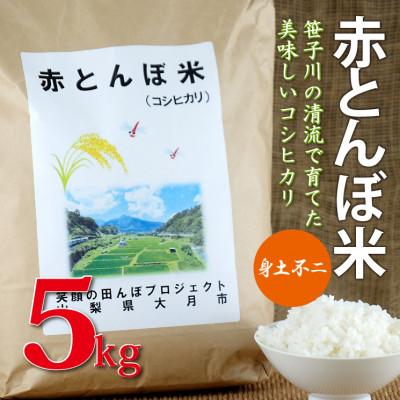 ふるさと納税 大月市 赤とんぼ米(コシヒカリ)5kg