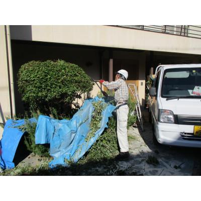 小堤晶子 車の壁飾り