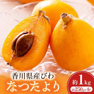 ふるさと納税 三木町 びわ(なつたより) 約1kg