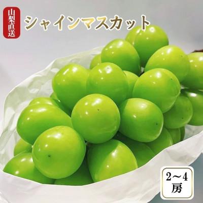 ふるさと納税 シャインマスカット 山梨市 厳選 池田青果のシャインマスカット2房〜4房(1.5kg相当) ふるさと納税