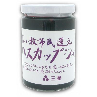 ふるさと納税 苫小牧市 [簡易包装のご自宅用]市民還元ハスカップジャム435g