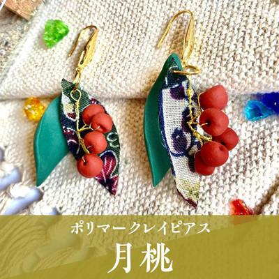 ふるさと納税 うるま市 【ピアス】秋のはじまりポリマークレイピアス