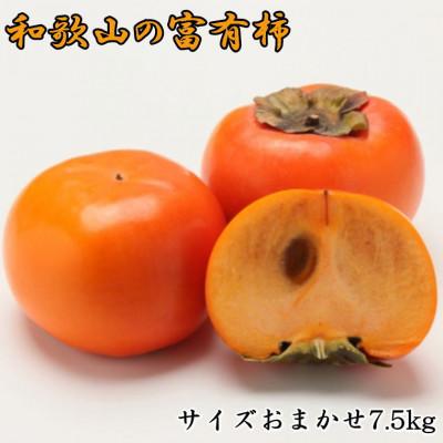 ふるさと納税 由良町 和歌山産富有柿 約7.5kg サイズおまかせ(由良町)