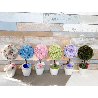 ふるさと納税 春日部市 プリザーブドフラワーアレンジ【トピアリー エル/ブルー】春日部市 シュガーパイン 春日部市