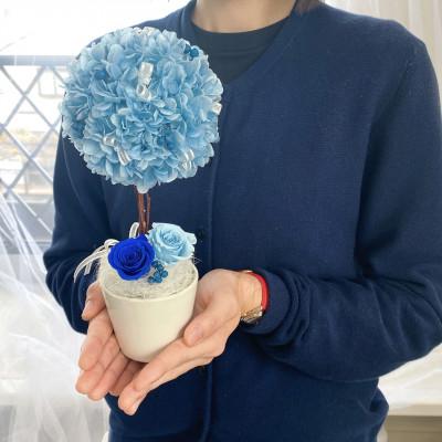 ふるさと納税 春日部市 プリザーブドフラワーアレンジ【トピアリー エル/ブルー】春日部市 シュガーパイン 春日部市