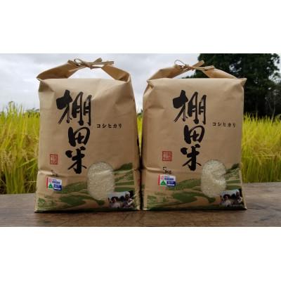 ふるさと納税 米沢市 令和5年産 特別栽培米棚田米コシヒカリ 5kg×2袋