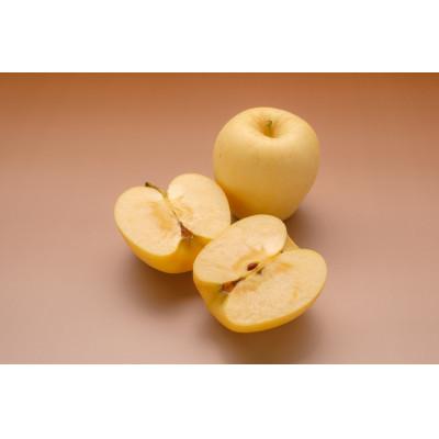 ふるさと納税 横手市 りんご(はるか)約3kg