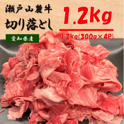 【SALE／90%OFF】 安全 ふるさと納税 瀬戸市 瀬戸山麓牛カタバラ切落し1.2kg 300g×4P desertdaily.in desertdaily.in