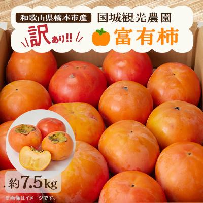 ふるさと納税 橋本市 柿 国城観光農園の富有柿(家庭用・訳あり)約7.5kg